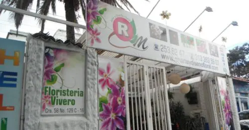 ARTE Y DISENO FLORAL RM BOGOTÁ ARTE Y DISENO FLORAL RM BOGOTÁ